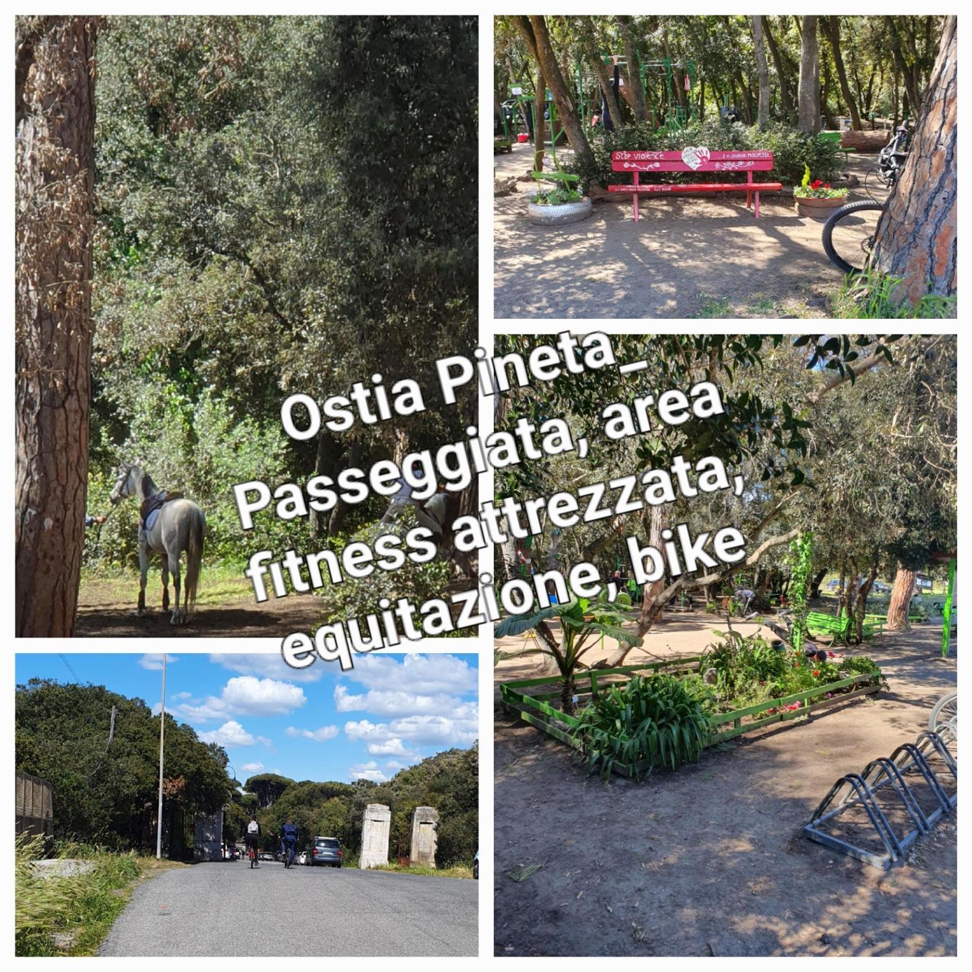 Appartamento Casa Diana Ostia Esterno foto